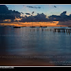 alicea_071123_9772.jpg