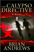 small cover