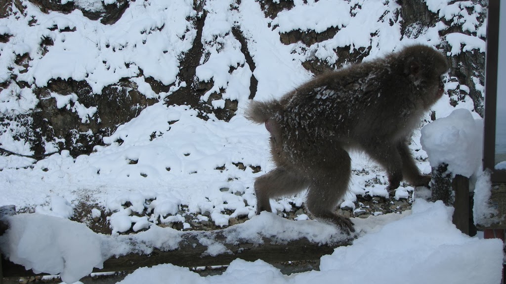 [IMG_4246%255B3%255D.jpg]