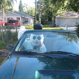 frosty-leaving.jpg