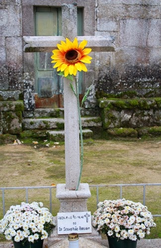 IMG_5790 IMG_5790