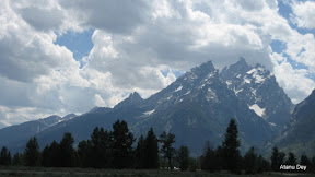 IMG_4233.jpg