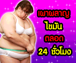 สิลีนนี่ บายทิพย์สตอรี่ SILEENY By THIP STORY 