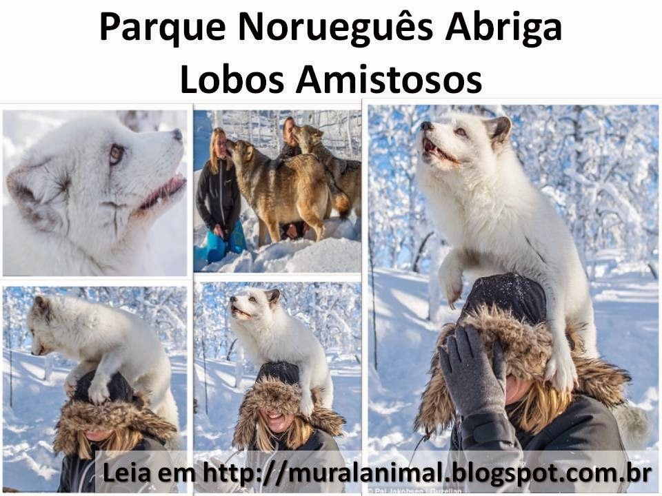 [Slide2%255B3%255D.jpg]