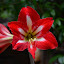 DSC_0481.JPG