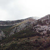 DSC03839.jpg