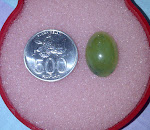 SD 02.jpg