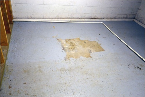 basement west end scrubbed close up basement west end scrubbed close up