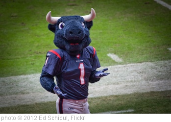 'Texans Toro' photo (c) 2012, Ed Schipul - license: http://creativecommons.org/licenses/by/2.0/