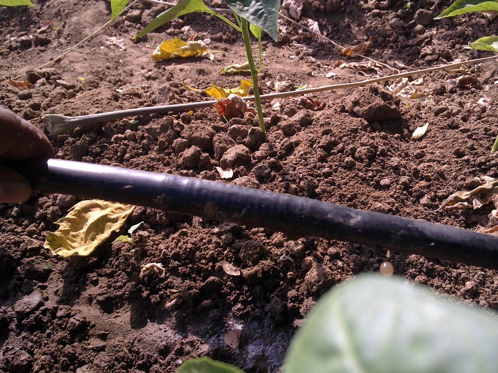 [23102010030%255B5%255D.jpg]