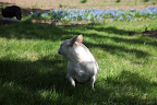 Francesca?  Oh, I guess the explorer in you has taken over!  I'll just enjoy this spot all by myself!