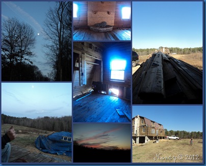 Log House Blue
