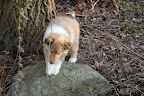 _DSC0023.JPG