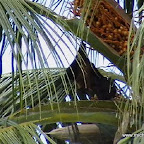 l024.jpg