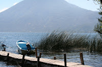 IMG_7466.jpg