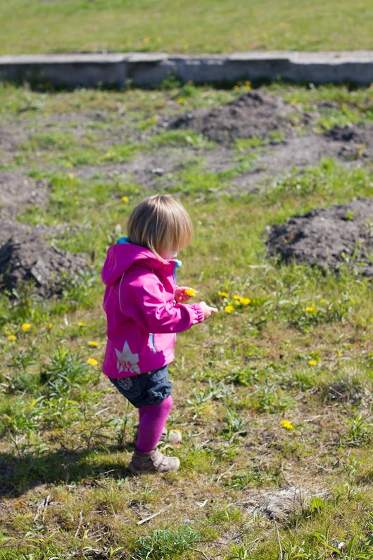 Agnes plukker blomster
