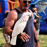 STAC_Festival_2009-175.jpg