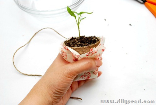 SeedlingTeacherGift3
