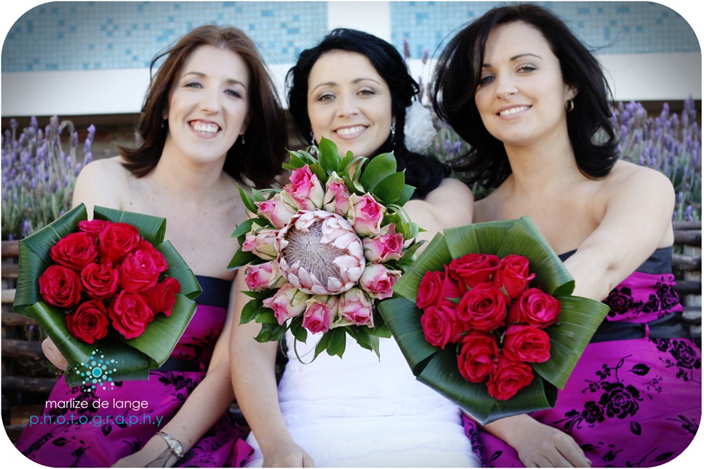 [IMG_0083%2520a%255B11%255D.jpg]