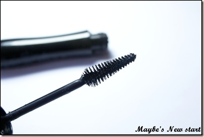 IMG_0354 IMG_0354