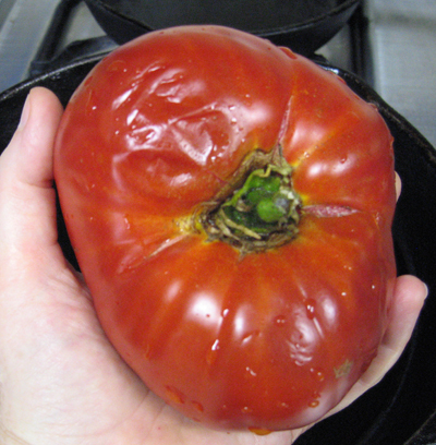 Get the ripest tomatoes you can. These heirlooms were super ripe, almost overripe as you can see by the patch of wrinkly skin. They were delicious. Get the ripest tomatoes you can. These heirlooms were super ripe, almost overripe as you can see by the patch of wrinkly skin. They were delicious.