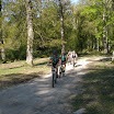 P5230432.JPG