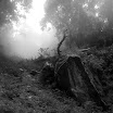 DSC00312.jpg