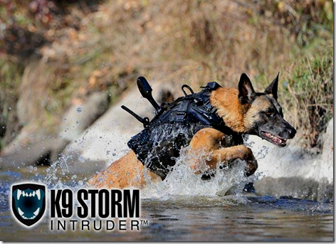 K9 Storm Body Armour