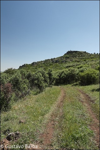 IMG_5684 IMG_5684