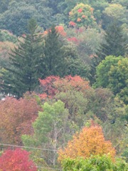 Assumption college weekend 9.29.12 Blackstone valley foliage1