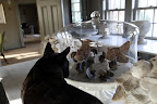 Martha must think these turkeys are going to escape.