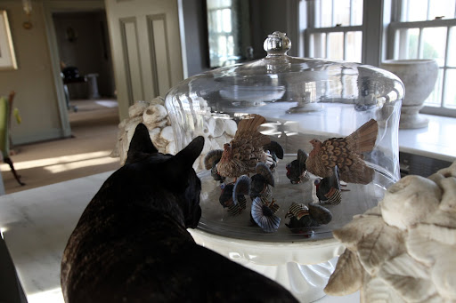 Martha must think these turkeys are going to escape.