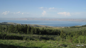 IMG_4269.jpg