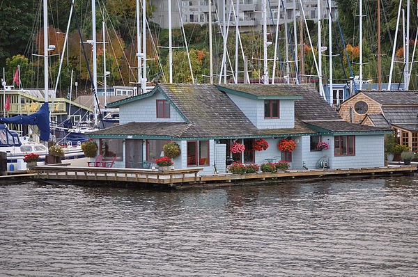 DSC_3576.JPG DSC_3576.JPG