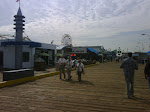 IMG00617-20100129-1215.jpg