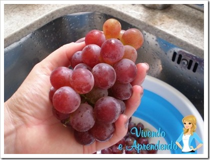 Higienizando as uvas