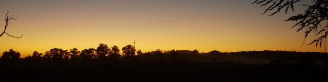 Sunset #3