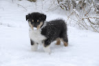 _DSC0080.JPG