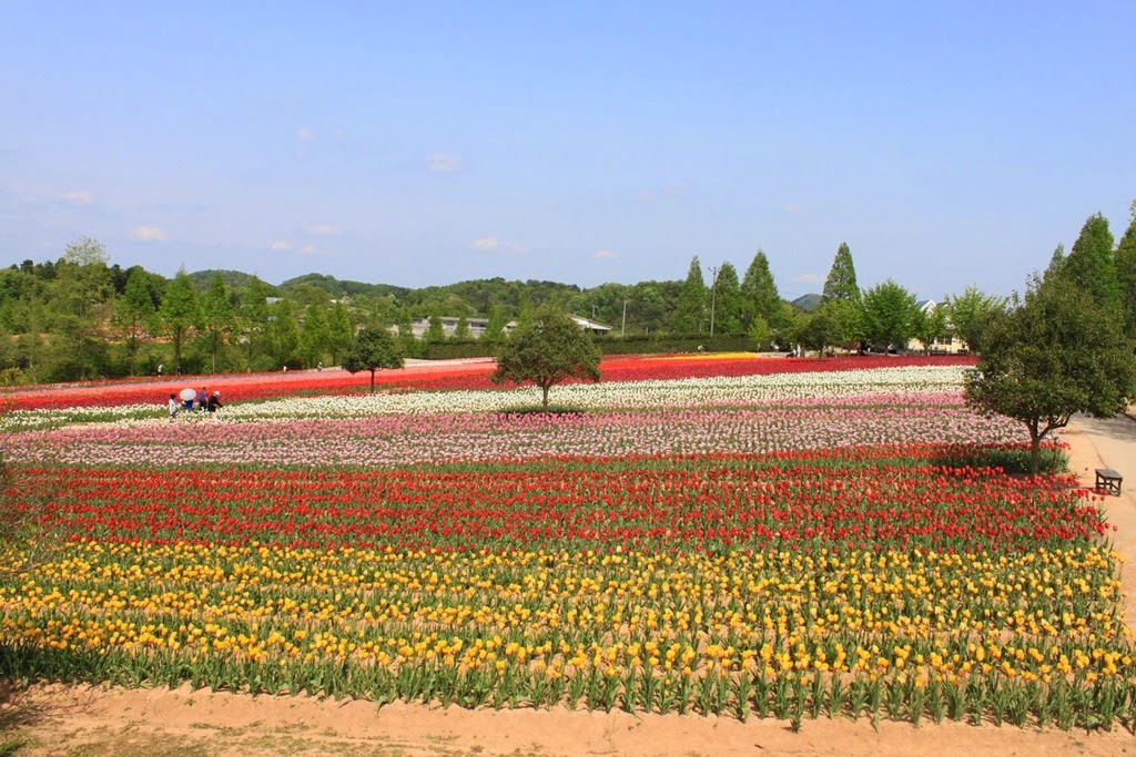 [2014_Day6_935.jpg]