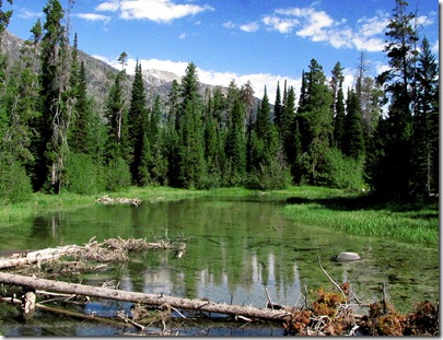 Outlet of Phelps Lake into Lake Creek