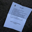 Ironscout2008035.jpg