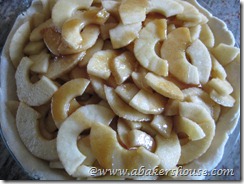 apples in pie apples in pie