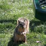 IMG_2683.JPG