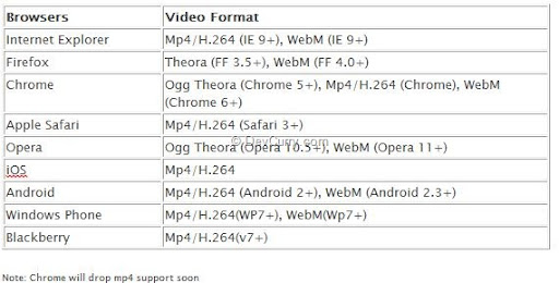 chrome browser supported video formats
