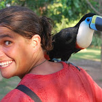 DSC_0289 - Copie.JPG