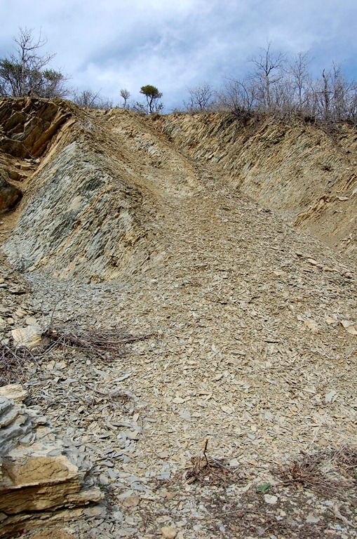 [may2011lambscanyon443.jpg]