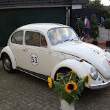 IMG_8404.jpg