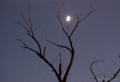 18. moon-kab 18. moon-kab
