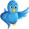 Follow Me Follow Me