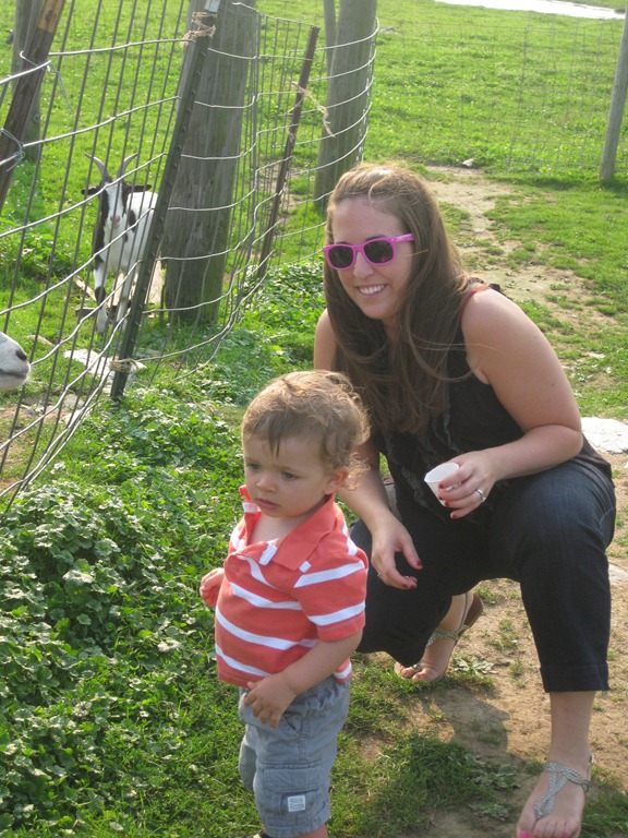 [2012.08.17%2520Petting%2520Zoo%2520%25288%2529%255B5%255D.jpg]